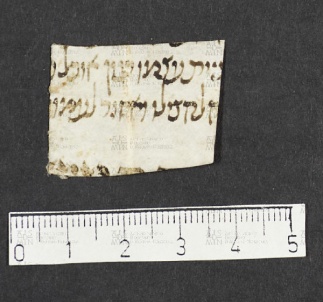 Pergamene ebraiche ACMO 1-103, App. 1-3 - pag. 17.4a