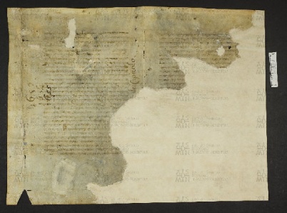 Pergamene ebraiche ACMO 1-103, App. 1-3 - pag. 41.1b