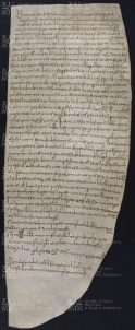 22 A.14.XXIIr, Investitura fatta da Guido vescovo a favore di Domenico e di Francesco da Vignola, Vignola, 968, giu. 13