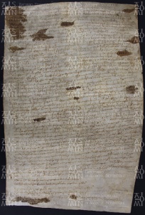 24 A.8.XXVr, Permuta di terre seguita tra Leodoino vescovo ed Eliburga, villa Cornaleto, 887, mag. 5