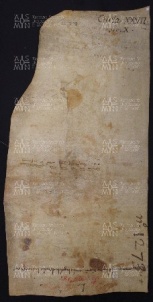 27 B.1.XXVIIv, Permuta di terre tra Ildeprando vescovo et Liuzo et Ermengarda sua moglie, Modena, 984, gen. 31