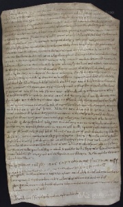 51 B.15.LIr, Donazione fatta da Martino arciprete, da Anselmo e Maria, e da Benedetto chierico, a favore di Ingone vescovo, Pieve di S. Maria in Rubiano, 1029, feb