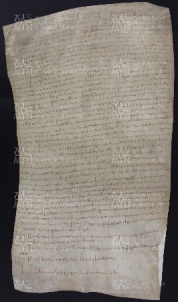 54 B.15.LIVr, Investitura fatta da Ingone vescovo a favore di Bonizzo Ferrario e di Natale da Vignola, Vignola, 1029, lug
