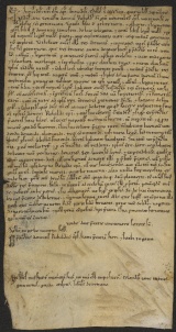 101 D.19.XCIIIr, Rinnovazione d'investitura fatta da Ribaldo vescovo a favore di Vitale e altri, Modena, 1137, ago. 29