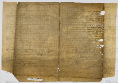 Pergamene ebraiche ACAMO 2-63, s.s - 5.1b