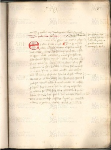 ACMo O.V.32 - pag. 081r
