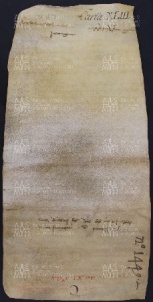 43 B.13.XLIIIv, Donazione fatta da Giovanni e Maria sua moglie, e da Domenico e Petronilla coniugi, a favore di Ingone vescovo, Modena, 1027, giu.