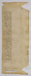 Pergamene ebraiche ACAMO 2-63, s.s - 60.2a