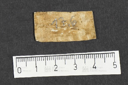 Pergamene ebraiche ACMO 1-103, App. 1-3 - pag. 17.6b