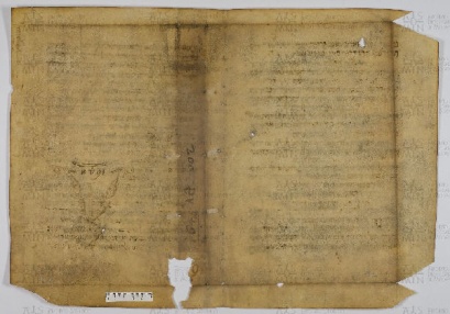 Pergamene ebraiche ACAMO 2-63, s.s - 19.1b
