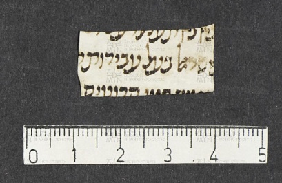 Pergamene ebraiche ACMO 1-103, App. 1-3 - pag. 17.9a