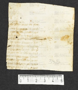 Pergamene ebraiche ACMO 1-103, App. 1-3 - pag. 39.5a