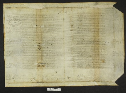 Pergamene ebraiche ACMO 1-103, App. 1-3 - pag. 91.1b