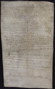 46 B.14.XLVIr, Investitura fatta da Ingone vescovo a favore dei fratelli Sigerone e Bono Prando, Savignano, 1027, lug. 15