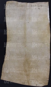 54 B.15.LIVv, Investitura fatta da Ingone vescovo a favore di Bonizzo Ferrario e di Natale da Vignola, Vignola, 1029, lug