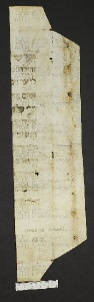 Pergamene ebraiche ACMO 1-103, App. 1-3 - pag. 18.2a