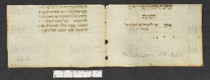 Pergamene ebraiche ACMO 1-103, App. 1-3 - pag. 44.4a