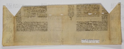 Pergamene ebraiche ACAMO 2-63, s.s - 42.3a