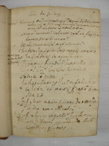 O.VI.1 Viste Pastorali 1575-1577 - pag. 7r Selva 1575