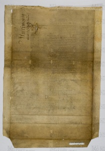 Pergamene ebraiche ACAMO 2-63, s.s - 44.1b