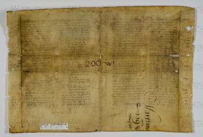 Pergamene ebraiche ACAMO 2-63, s.s - 45.1b