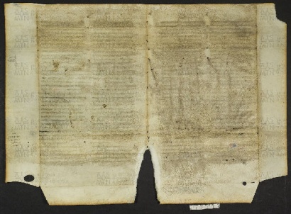 Pergamene ebraiche ACMO 1-103, App. 1-3 - pag. 48.1b