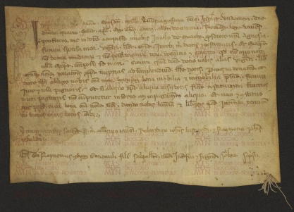 142 C.12.CXLIIr, Confessione di dote ricevuta fatta da Giovanni del q. Alberto de Orzana a favore di Giacomo de Marco per la dote di Agnese sua sorella e moglie del detto Giovanni, 1053
