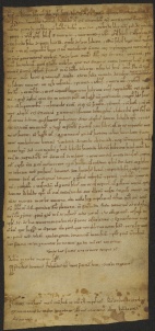 103 D.20.XCVr, Investitura fatta da Ribaldo vescovo a favore di Pietro e Rofredo de Consilio e di alcuni altri, Modena, 1137, feb. 10