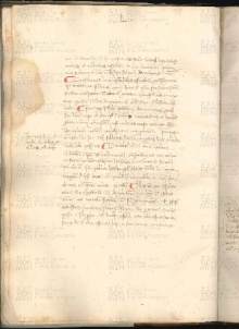 ACMo O.V.32 - pag. 025v