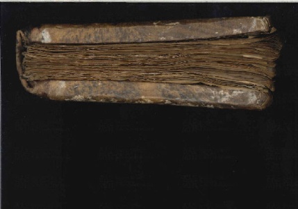 ACMo O.I.16 - pag. Taglio inferiore