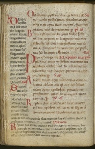 141v