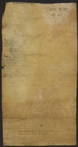 101 D.19.XCIIIv, Rinnovazione d'investitura fatta da Ribaldo vescovo a favore di Vitale e altri, Modena, 1137, ago. 29