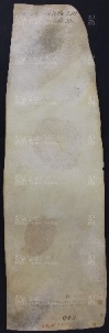 53 B.15.LIIIv, Donazione fatta da Domenico, Giovanni, Martino a favore di Ingone vescovo, Vignola, 1029, ago. 22