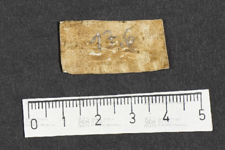 Pergamene ebraiche ACMO 1-103, App. 1-3 - pag. 17.6b