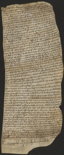 90 C.2.XCr, Investitura fatta da Ingone vescovo a Petronio prete ed Ermezza, Modena, 1034, mar. 29