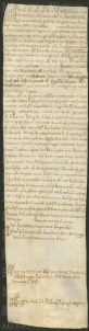 196 E.9.CLXXVr, Investitura spedita da Enrico vescovo a Pietro Munici da Saliceto, Modena, 1158, giu. 3