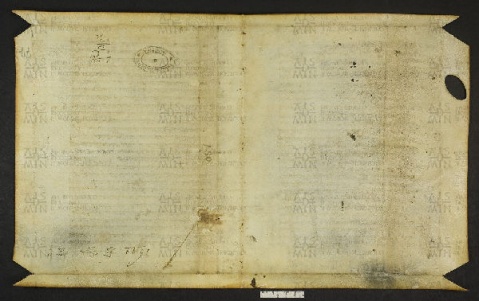 Pergamene ebraiche ACMO 1-103, App. 1-3 - pag. 77b