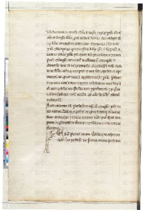 ACMo O.II.11 - pag. 145v