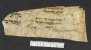 Pergamene ebraiche ACMO 1-103, App. 1-3 - pag. 95.2a